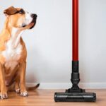 Ufesa Kalahari 2 in 1 Rechargeable Stick Vacuum Cleaner 22.0V Black