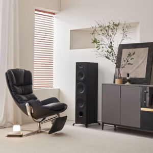 Elipson Prestige Facet II 24F ELIPF224FMBK Freestanding 3 1/2-way Wired Speaker 250 W (RMS) Black
