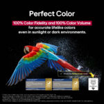 LG OLED65B56LA OLED AI B5 2025 65″ 4K UHD OLED Smart TV F Black