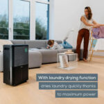 Beurer LE250 Air Dehumidifier 20L for rooms of up to 60m² Black