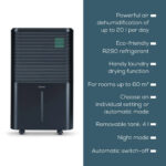 Beurer LE250 Air Dehumidifier 20L for rooms of up to 60m² Black
