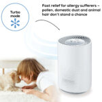 Beurer LR220 Air Purifier with HEPA H13 filter for rooms of up to 37m² White